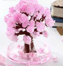 درخت جادویی کریسمس و ساکورا